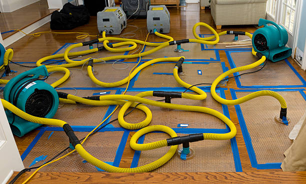 Professional Water Extraction technician working in Grandview, TN